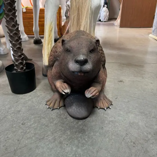 Beaver Life Size Statue {5}