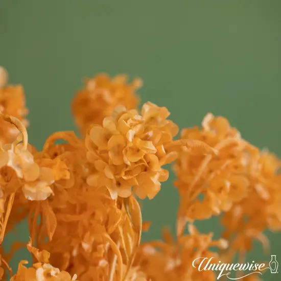 Uniquewise Preserved Real Floral Stems Chic Vase Fillers & Accents for Bouquets Centerpieces & Ornamental Displays Ideal for Home Office Boutique Cafe Resto Bar and Event Decor Lt champagne pansy {5}