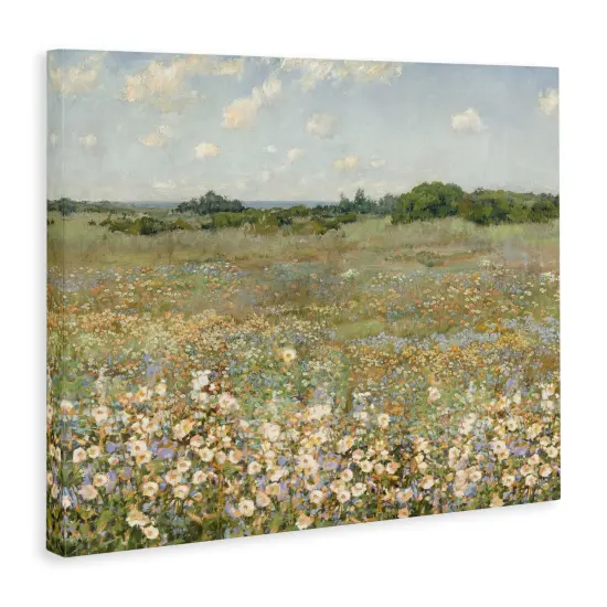 Stupell Industries Vast Flower Speckled Meadow Canvas Design by Amber Sterling {3}
