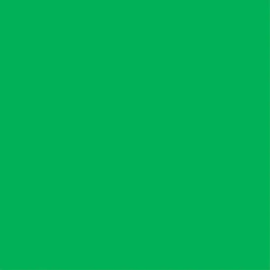 Core'dinations Core Foundations Cardstock 12"X12"-Primary Green {1}