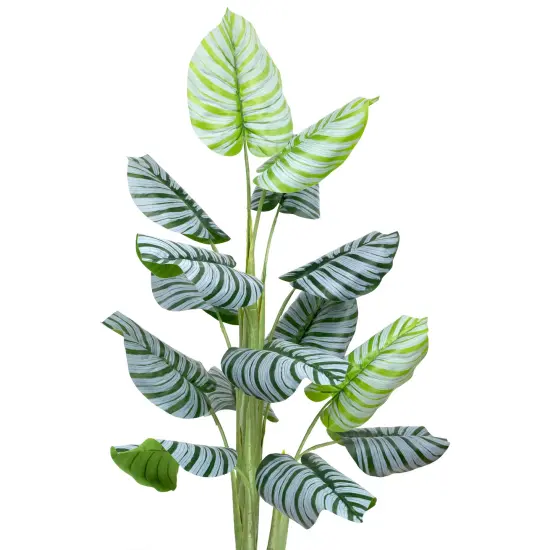 Northlight Potted Two Tone Green Calathea Artificial Floor Plant - 4' {4}