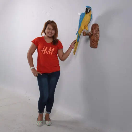 Blue Parrot Wall Decor Life Size Statue {3}