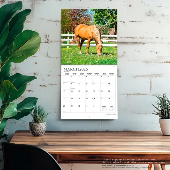 Magnificent Horses | 2026 12 x 24 Inch (Hanging) Monthly Square Wall Calendar | Foil Stamped Cover {5}