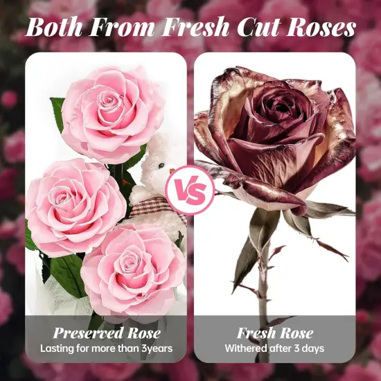 3 Real Roses with Stems and Bear {2}