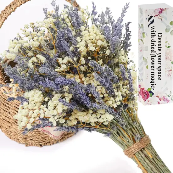 Dried Lavender & Baby's Breath Flowers Bundles, 2 Bunches Dried Flower Bouquet for Vase, Natural Gypsophila, Valentines Day Decor Present, Home, Wedding, Photography, Floral Arrangement, DIY {1}