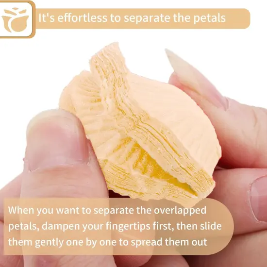 1000 Pcs Artificial Fake Rose Petals (Champagne Color) {4}