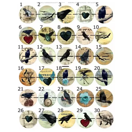 Kitcheniva 1 Pc Raven Wine Stoppers Wine lover Wood Stopper Bird Crow {4}