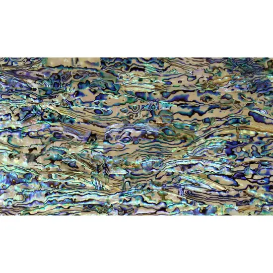 Shell Veneer, 5.5 x 9.5 inches | WMOP, BMOP, Abalone | Includes 3M Adhesive Sheet for Application, Great for Inlay Projects Natural Light {1}