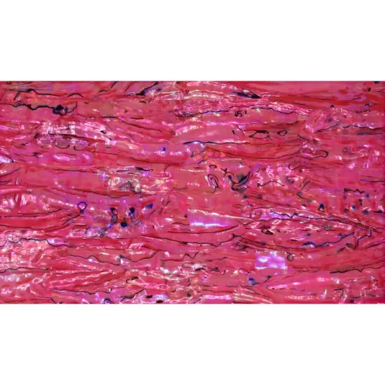 Shell Veneer, 5.5 x 9.5 inches | WMOP, BMOP, Abalone | Includes 3M Adhesive Sheet for Application, Great for Inlay Projects Garnet Red {10}