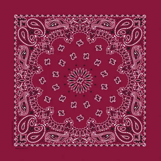 Carolina Hav-A-Hank Paisley Bandanna 22"X22" {3}
