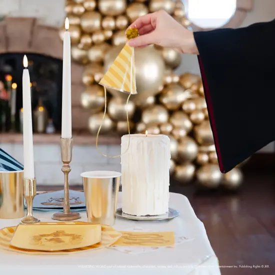 HARRY POTTER X BONJOUR F&Ecirc;TE HOUSE PRIDE PARTY HATS {3}