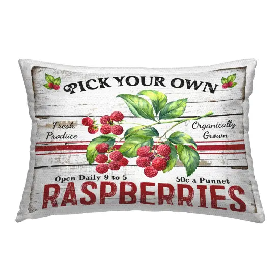 Pick Your Own Raspberries Outdoor Printed Pillow Design by Creatif Belle, 14 x 7 x 20 {1}