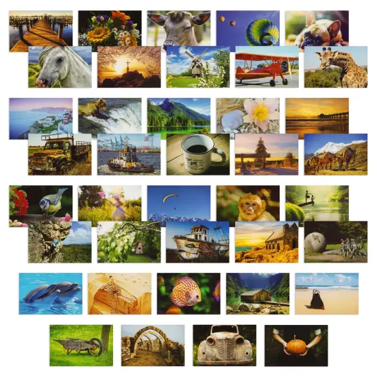 40 Pack Bulk Animal and Travel Postcards From Around the World for Mailing, Assorted Nature Thank You Notes (4 x 6 In) Multicolor {1}