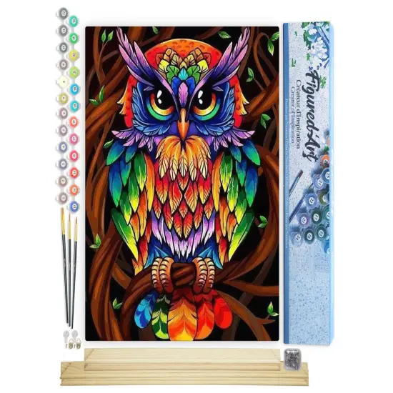 Figured'Art Paint by Numbers Kit for Adults Colourful Owl 16"x20" - Craft Art Painting Rolled Canvas with DIY wooden frame {1}