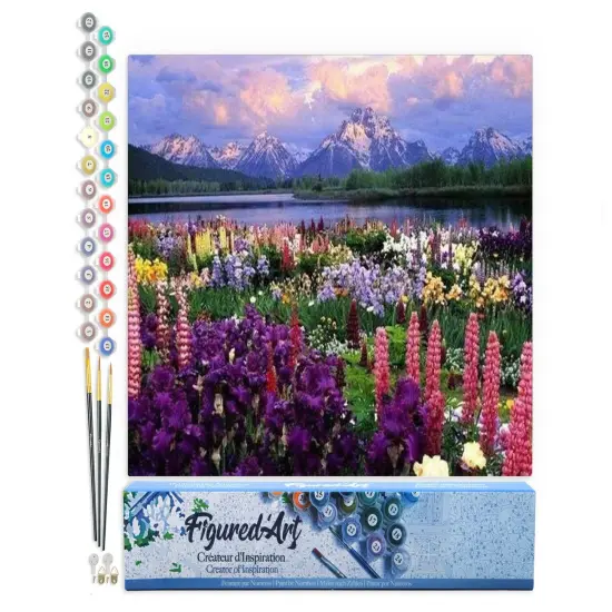 Figured'Art Paint by Numbers for Adults Flowers and Lake near the Mountain 16"x20" - Craft Art Painting DIY Kit Rolled Canvas without frame {1}