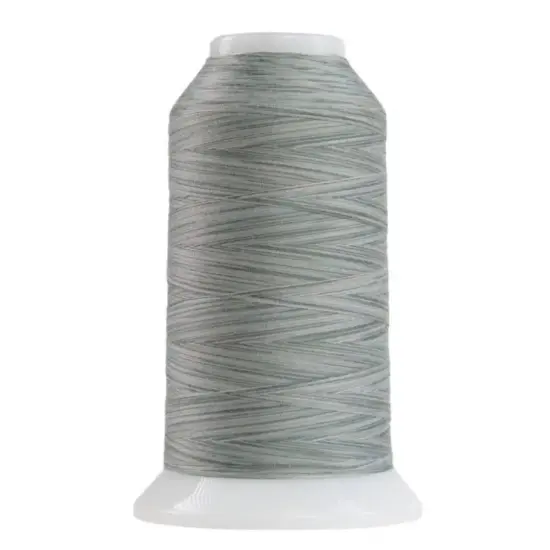 9138 Silver Mist Omni Variegated Polyester Thread {1}