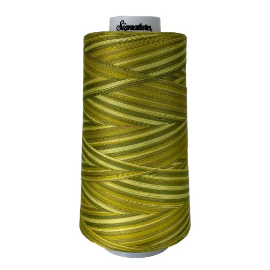 F150 Sun Lime Splash Signature Cotton Variegated Thread {1}