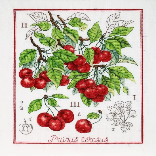 Botanical Battle - CherryCounted cross stitch kit 1274A {1}