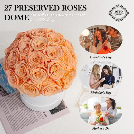 27 Preserved Roses in Round Dome Shape - Orange {2}