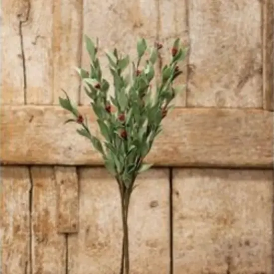 20&rdquo; High Red Pip and Foamy Herb Spray with Flexible Brown Wrapped Stem {2}