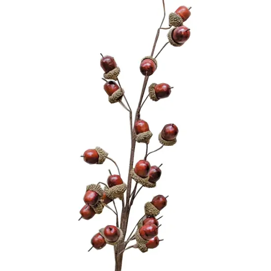 Acorn Spray - 27" {1}