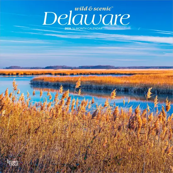 Delaware Wild & Scenic | 2026 12 x 24 Inch (Hanging) Monthly Square Wall Calendar | Plastic-Free {1}