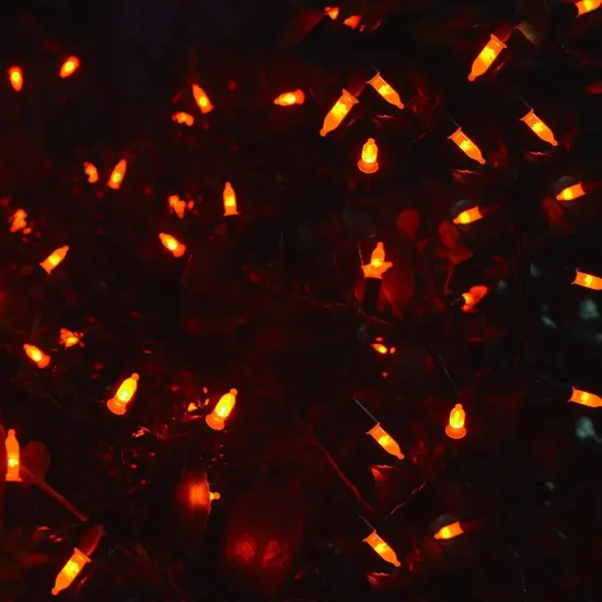 2 Pack 16 FT Mini String Light, 50 LED Outdoor Halloween Lights {5}