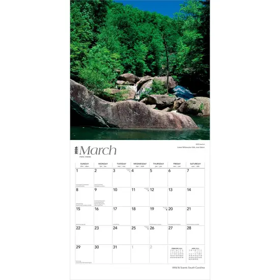 South Carolina Wild & Scenic | 2026 12 x 24 Inch (Hanging) Monthly Square Wall Calendar | Plastic-Free {3}