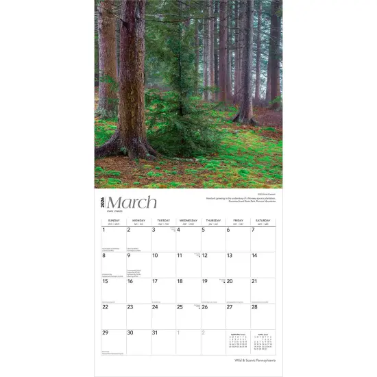 Pennsylvania Wild & Scenic | 2026 12 x 24 Inch (Hanging) Monthly Square Wall Calendar | Plastic-Free {3}