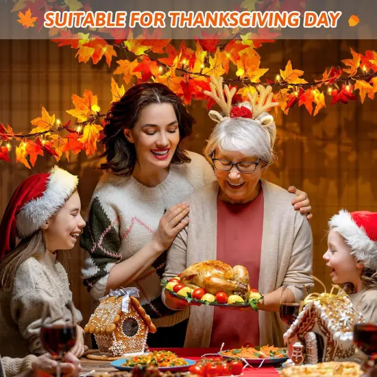 1PC Fall Garland with Lights 50 Orange Bulbs Lighted Fall Garland {5}