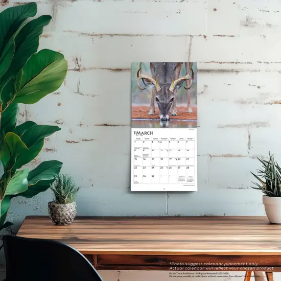 White Tailed Deer | 2026 7 x 14 Inch (Hanging) Monthly Mini Wall Calendar {5}