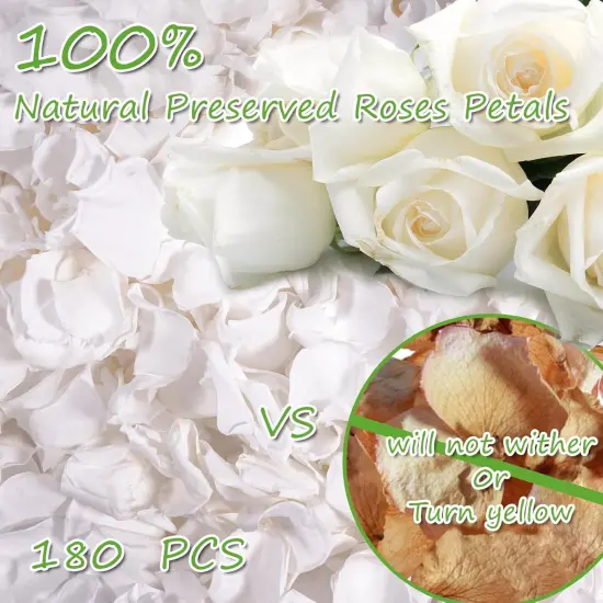 Dried Real White Rose Petals, Freeze Preserved Flower Petals for Wedding Party Decor, Rose Petals for Romantic Night Wedding {2}