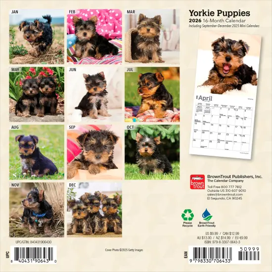 Yorkshire Terrier Puppies | 2026 7 x 14 Inch (Hanging) Monthly Mini Wall Calendar {2}