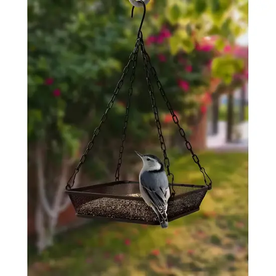Black Iron Mesh Weatherproof Hanging Bird Feeder Tray with Chain and Perch {3}