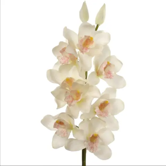 30" Cymbidium Orchid Stem - 3 PACK {2}
