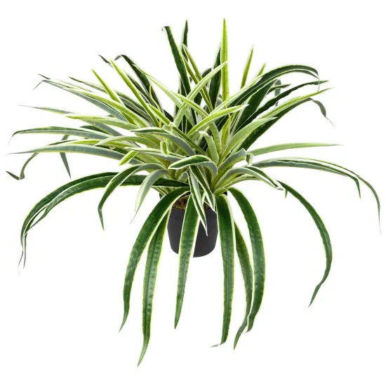 Northlight Artificial Two Toned Potted Spider Plant - 13" Green {6}