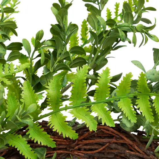 Northlight Fern Leaf Artificial Springtime Wreath - Green - 18" {7}