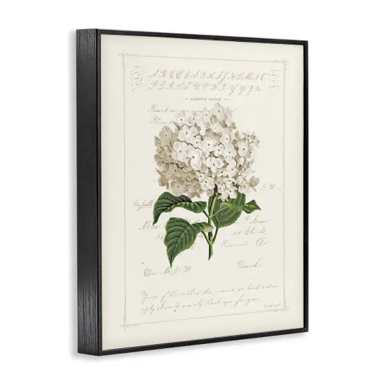 Stupell Industries Vintage Floral Motif Framed Giclee By Jennifer Pugh {9}