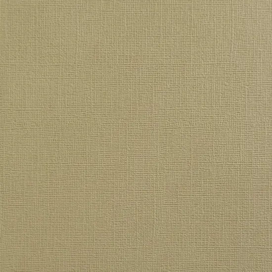 BROWN SUGAR- Textured 12x12 Cardstock - Encore Paper {1}