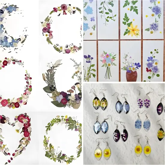 140Pcs Dried Pressed Flowers -MultiColor {3}