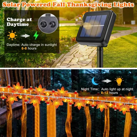 Solar Thanksgiving Decorations Fall Garland {2}