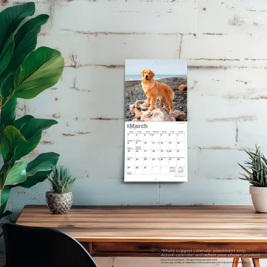 Golden Retrievers | 2026 7 x 14 Inch (Hanging) Monthly Mini Wall Calendar {5}