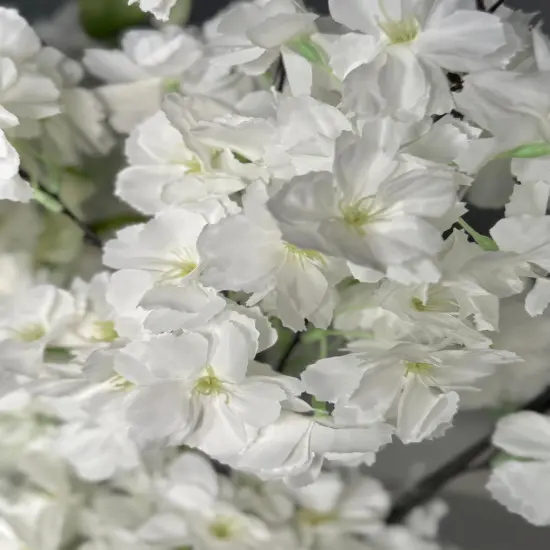 Sienna White Cream Silk Cherry Blossom Flower Set of 3 Branches Pack 40'' Inches {2}