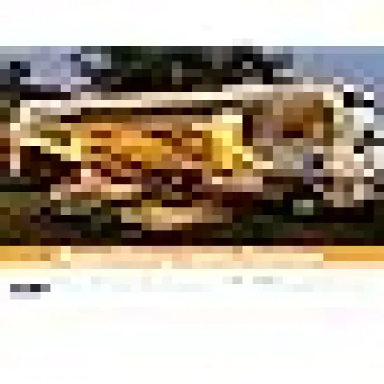 String Lights Indoor Bedroom, {4}