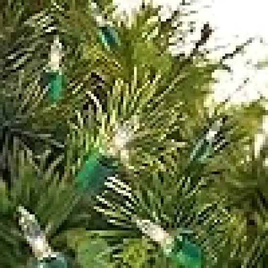 Holiday Time 100 Clear Mini Lights {1}