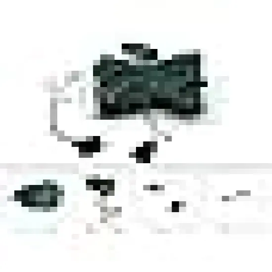 Count Warm White LED Christmas String Lights {5}