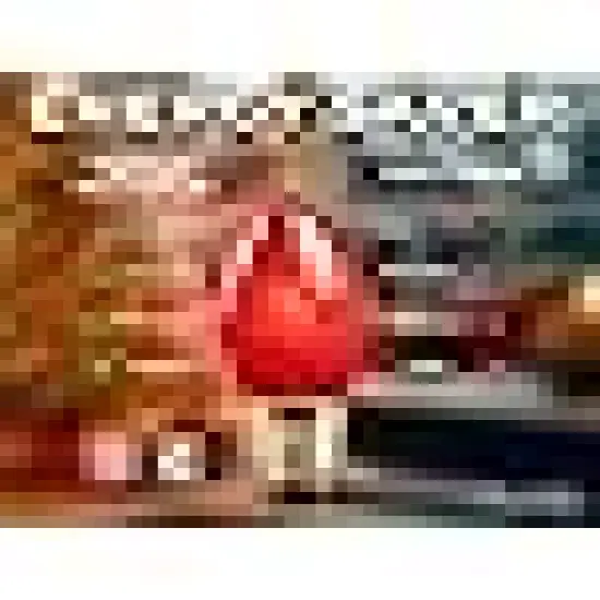 Christmas String Lights with 25 Bulbs {3}