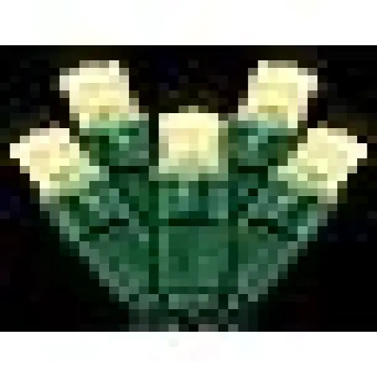 Commercial Grade Outdoor Waterproof {1}