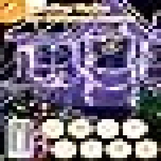 Lights with Remote and Timer {5}