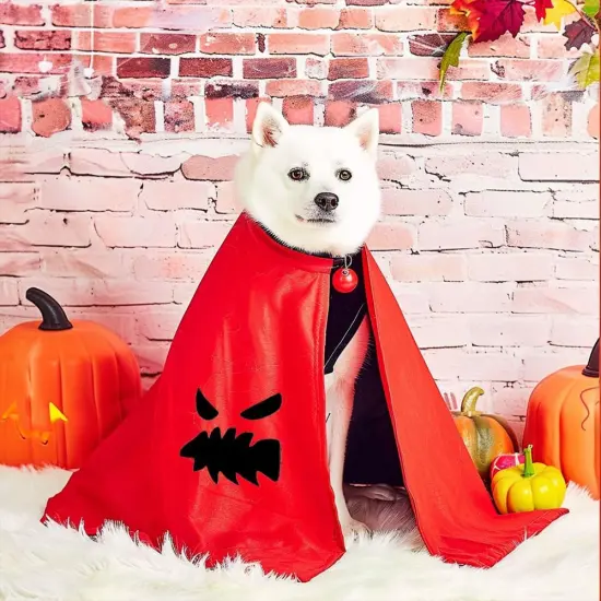 36Pcs Halloween Pumpkin Face Stencils 6 inch(Halloween C) {3}